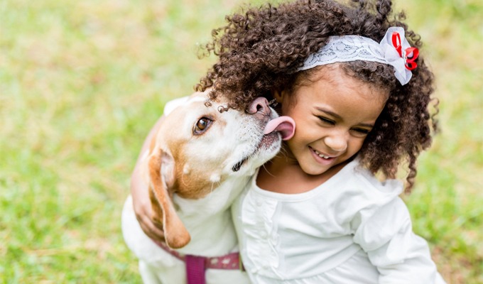 Crianças e cães: garantir uma relação segura