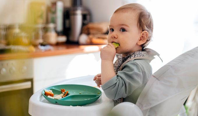 Diversificação alimentar: peixe e carne para bebés